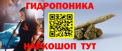 крисы Пугачёв